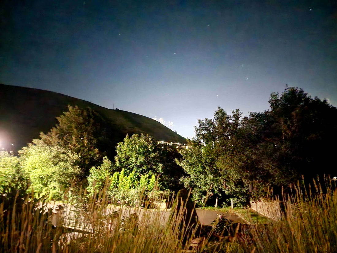 View of when Don Levi Tequila got formed