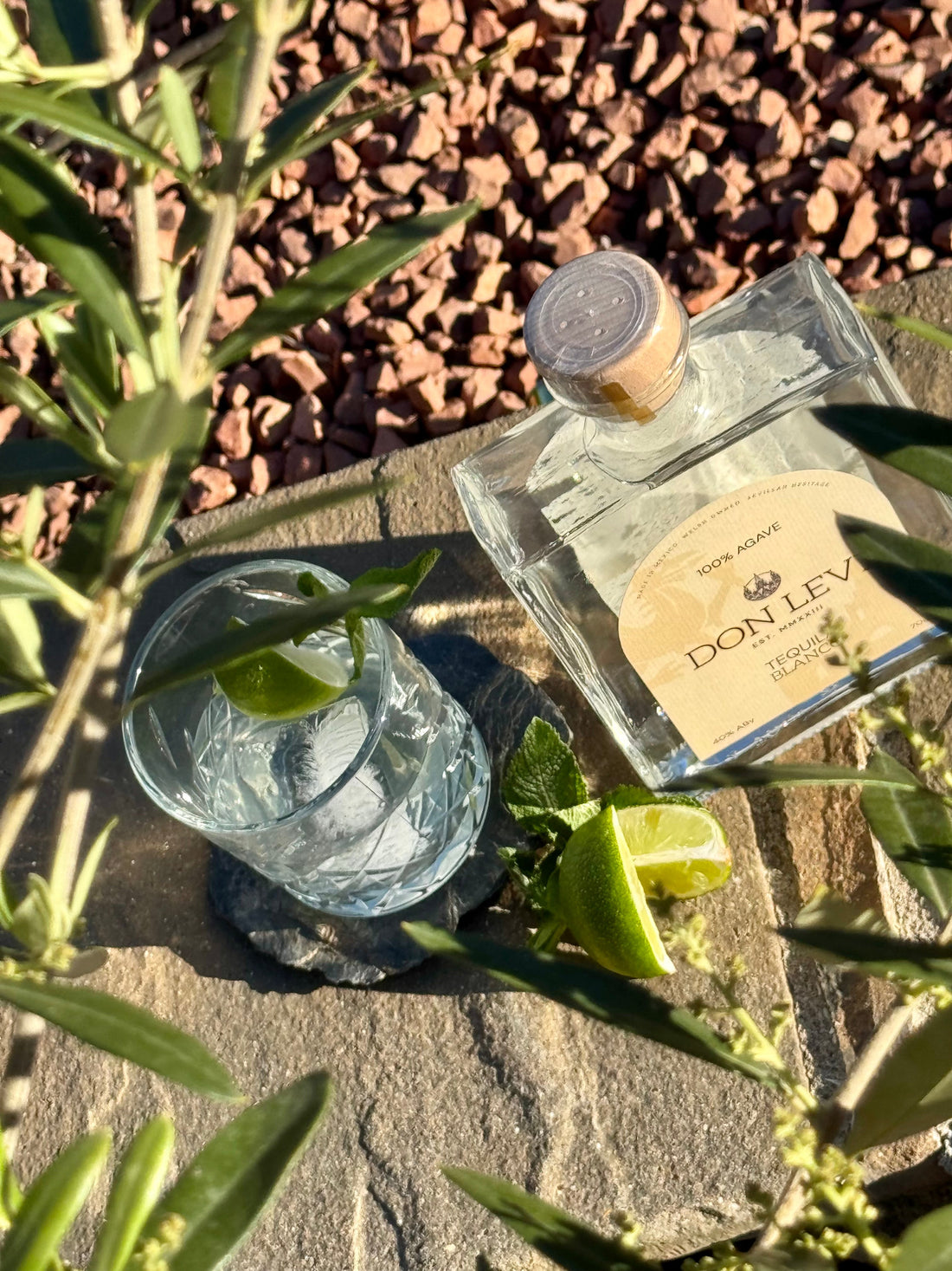 A Margarita Made for Sunshine