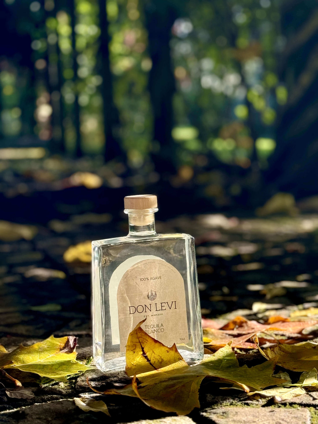 From Celtic Roots to Halloween Spirits