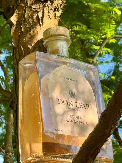 A Don Levi Rosa with peachy hues rested against a tree with slight sunshine coming through