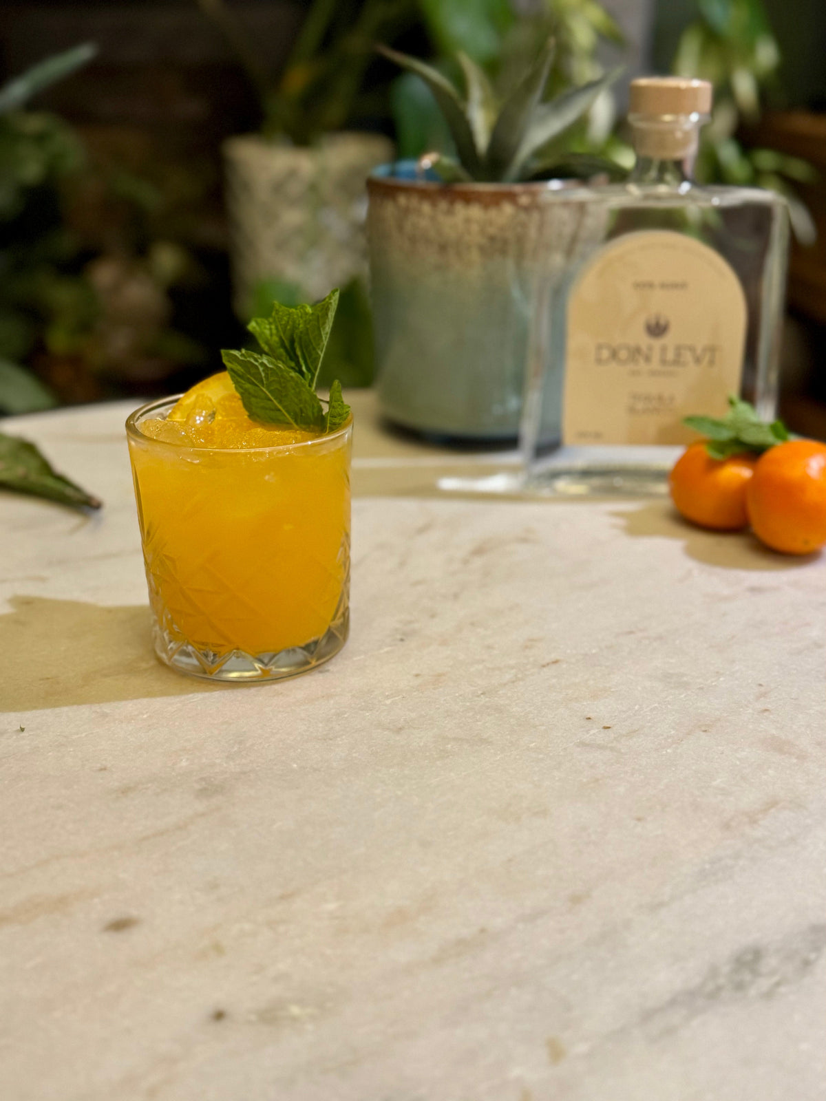 Don Levi Clementine Margarita with a Don Levi Blanco bottle in the background.