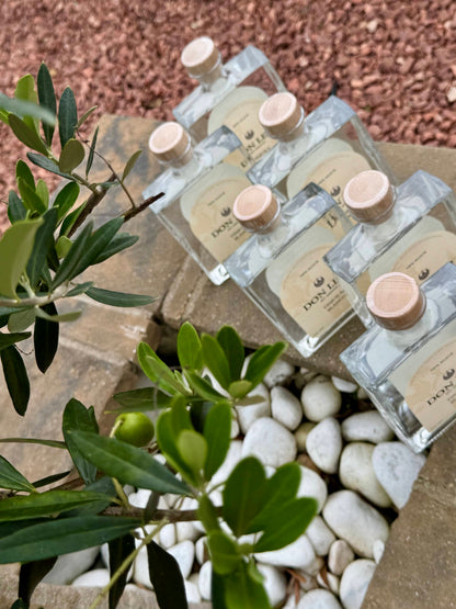 A photo of 6 bottles of Don Levi Blanco by an olive tree
