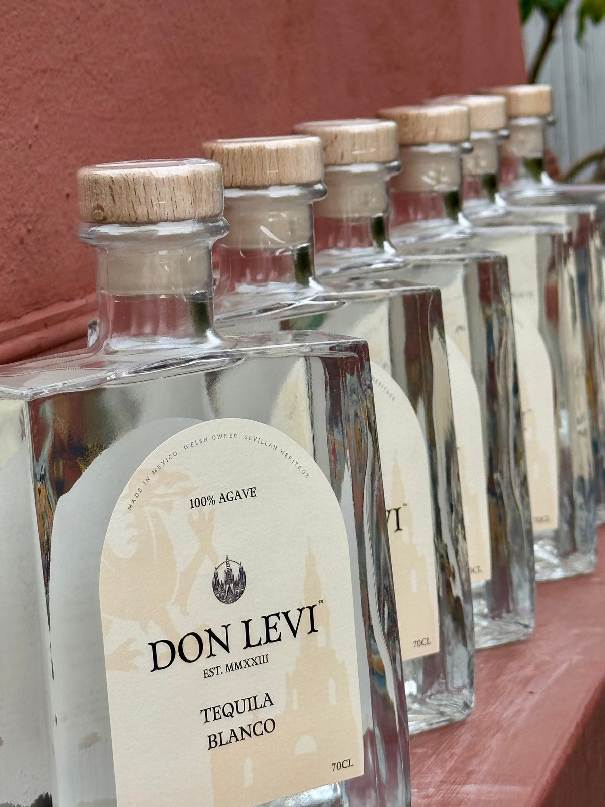 A row of  Don Levi Tequila Blanco with light wood corks and cream labels, lined up against a terracotta-colored wall.