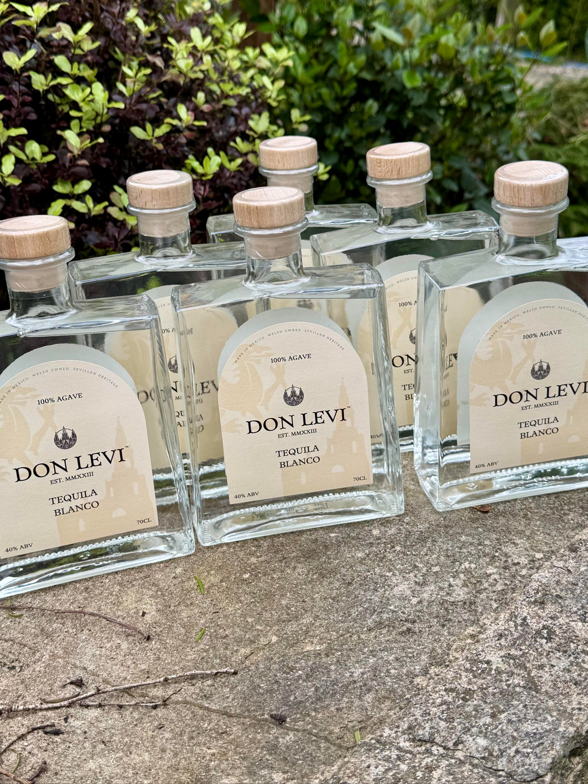 Several bottles of Don Levi Tequila Blanco with beige labels and light wood caps, arranged on a stone surface outdoors with green foliage in the background.