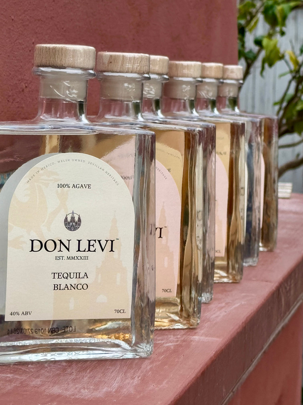 A row of Don Levi Blanco & Rosa along a red terracotta wall