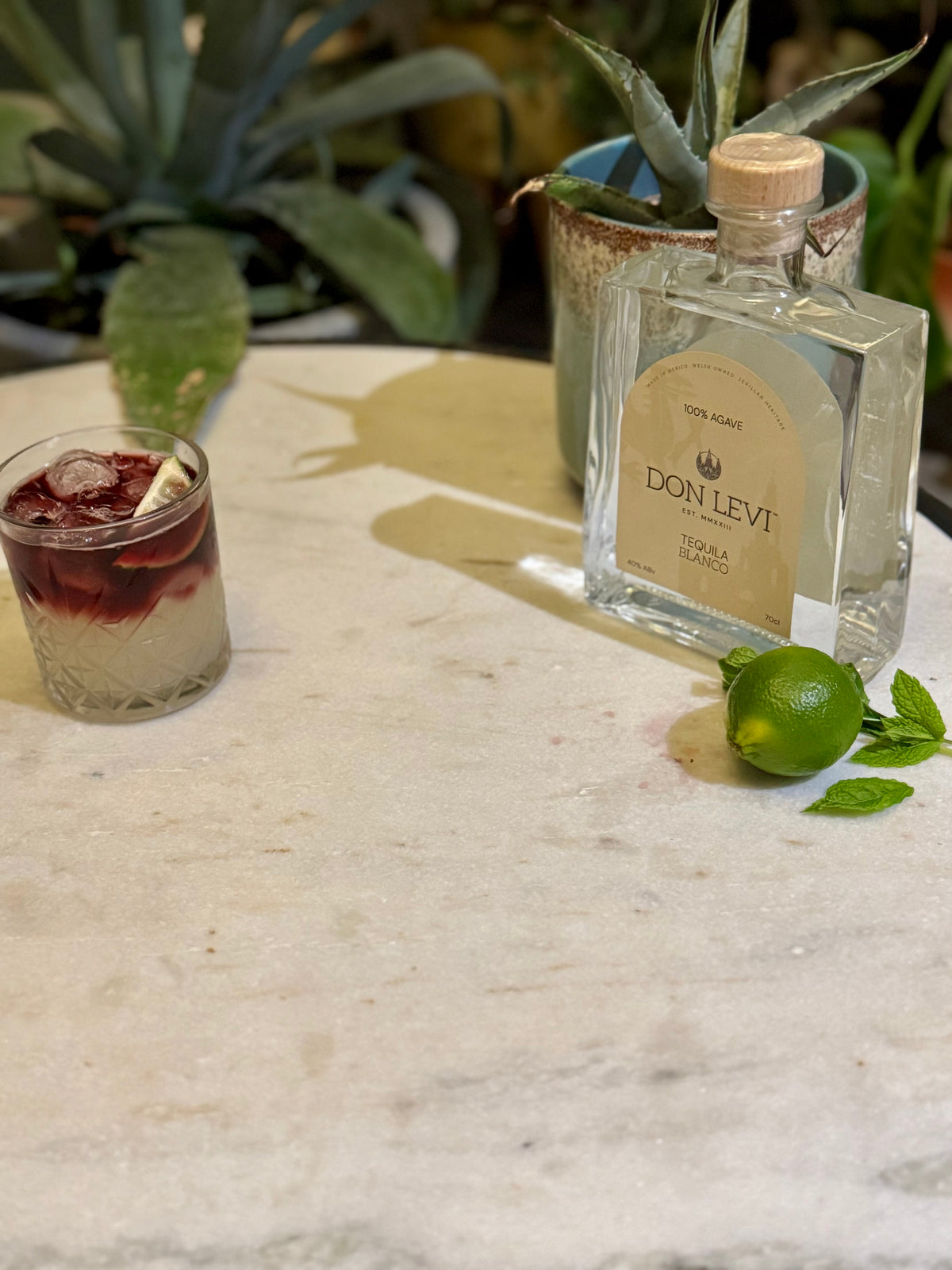 Don Levi Devil's Margarita with a Don Levi Blanco bottle in the background.