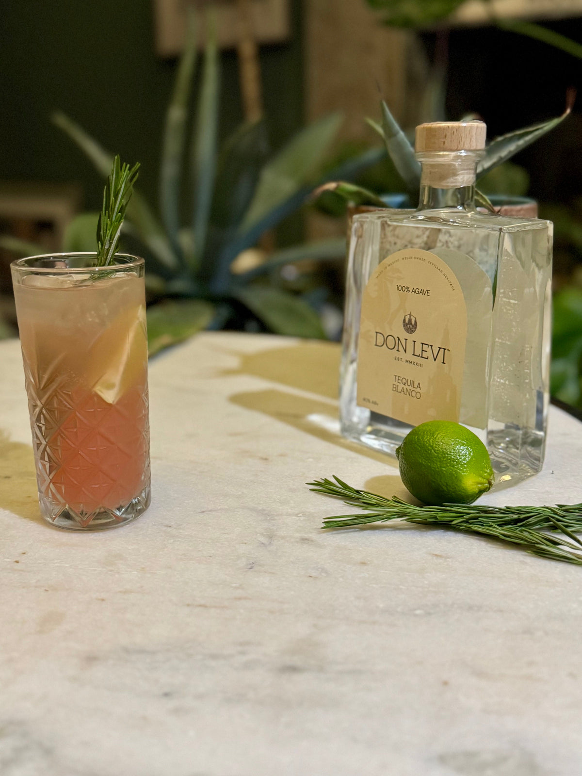 Don Levi Pomegranate Paloma with a Don Levi Blanco bottle in the background.