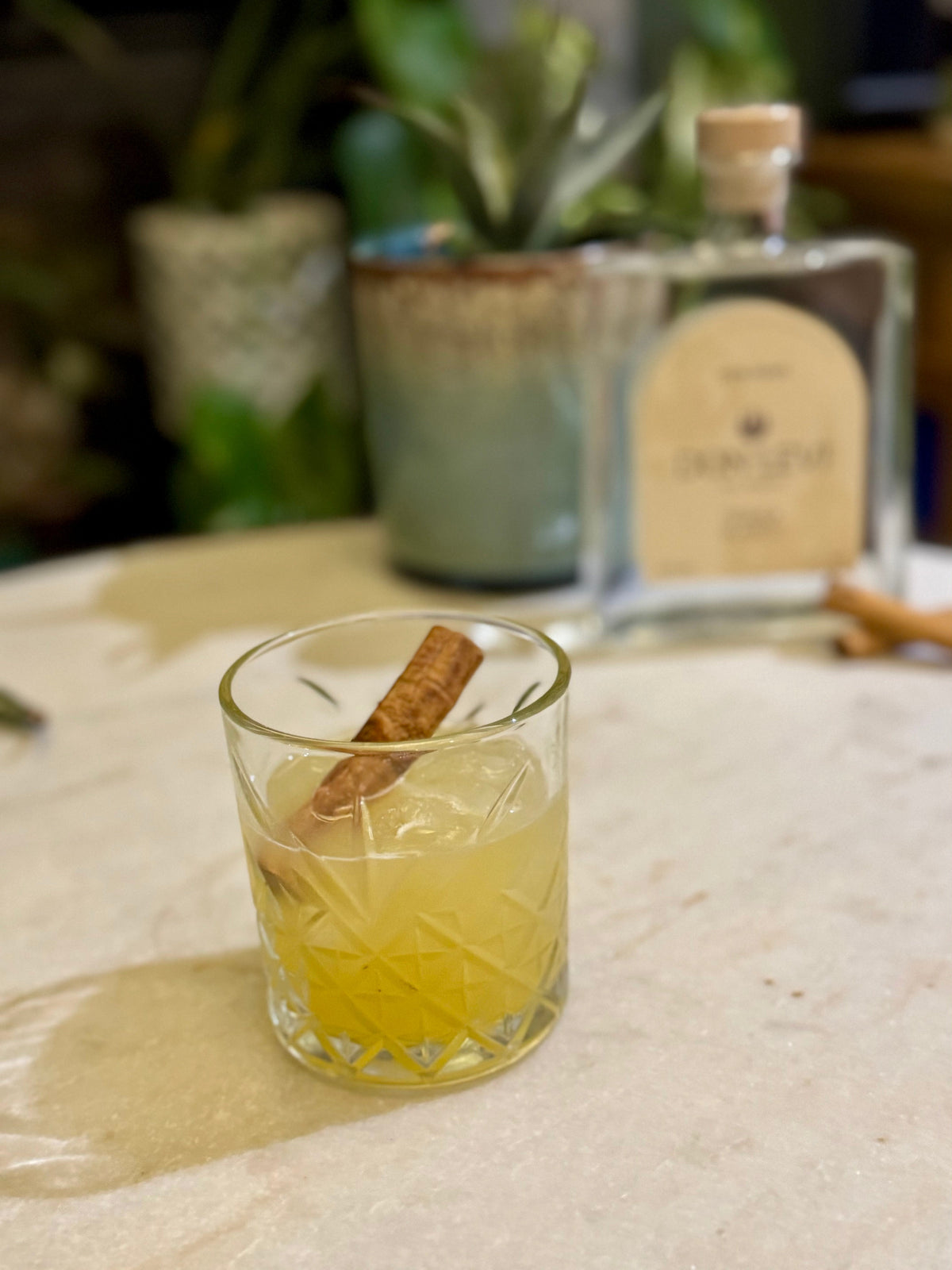 Don Levi Pumpkin Spiced Margarita with a Don Levi Blanco bottle in the background.